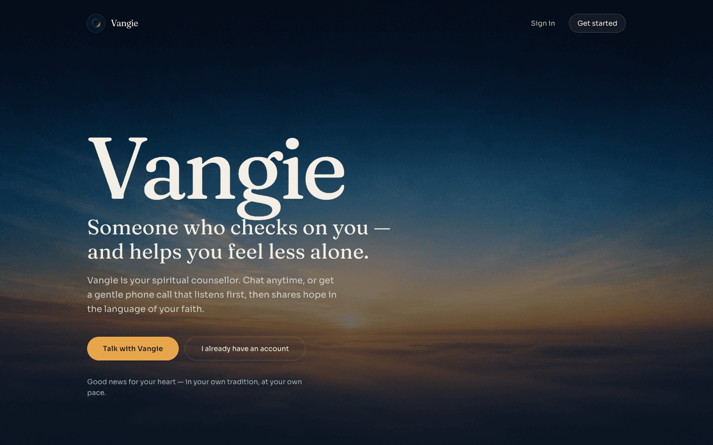 Vangie product screenshot